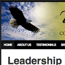 leadership coach website icon
