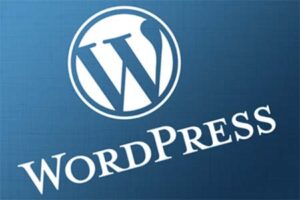 wordpress for coach websites